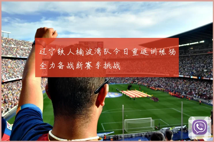 辽宁铁人楠波湾队今日重返训练场全力备战新赛季挑战