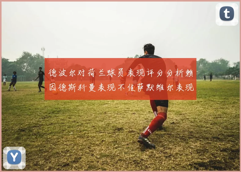 德波尔对荷兰球员表现评分分析赖因德斯科曼表现不佳萨默维尔表现出色