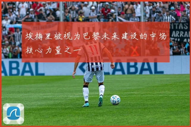 埃梅里被视为巴黎未来建设的中场核心力量之一